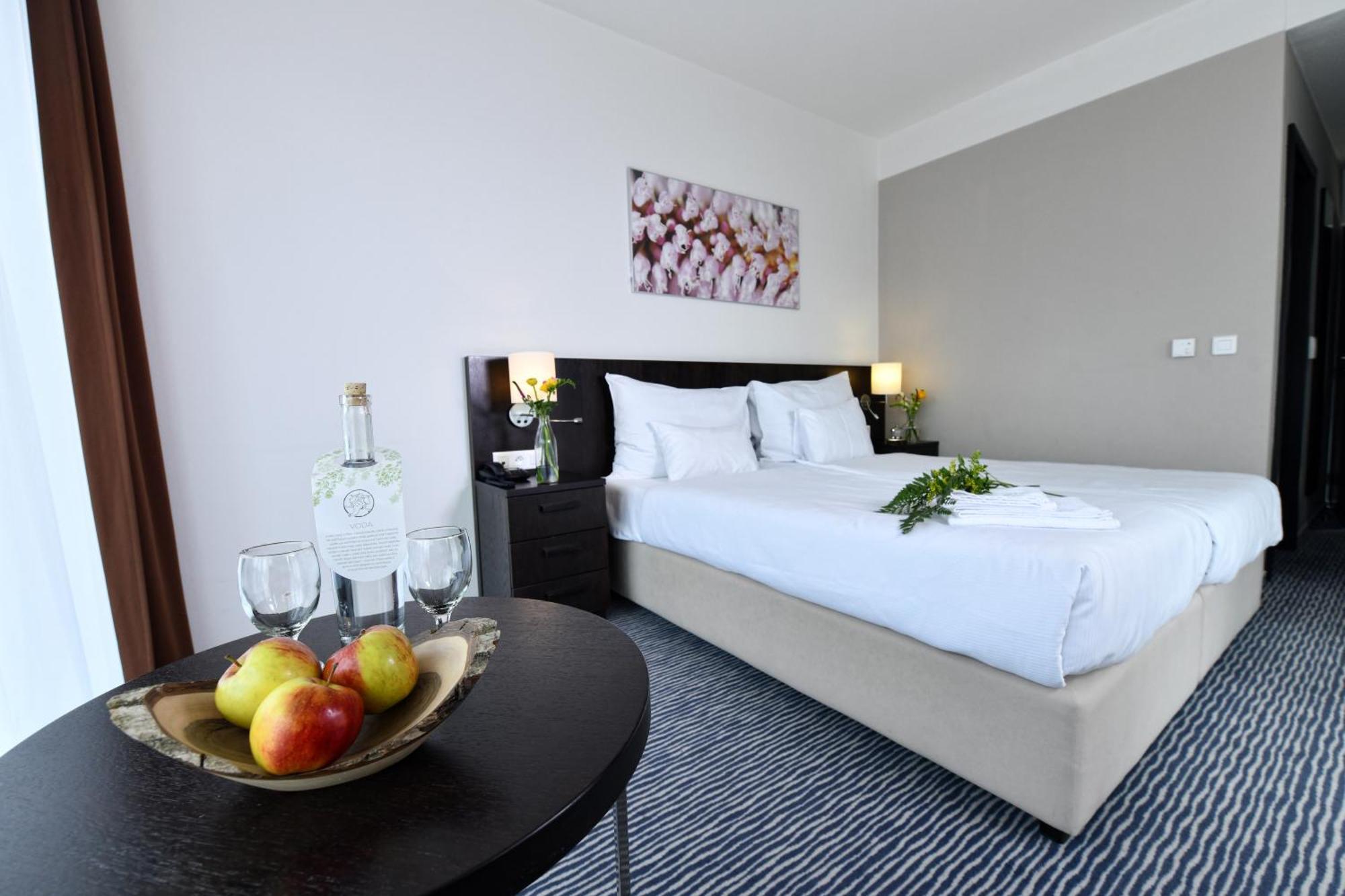 Wellness Vista Dolni Morava