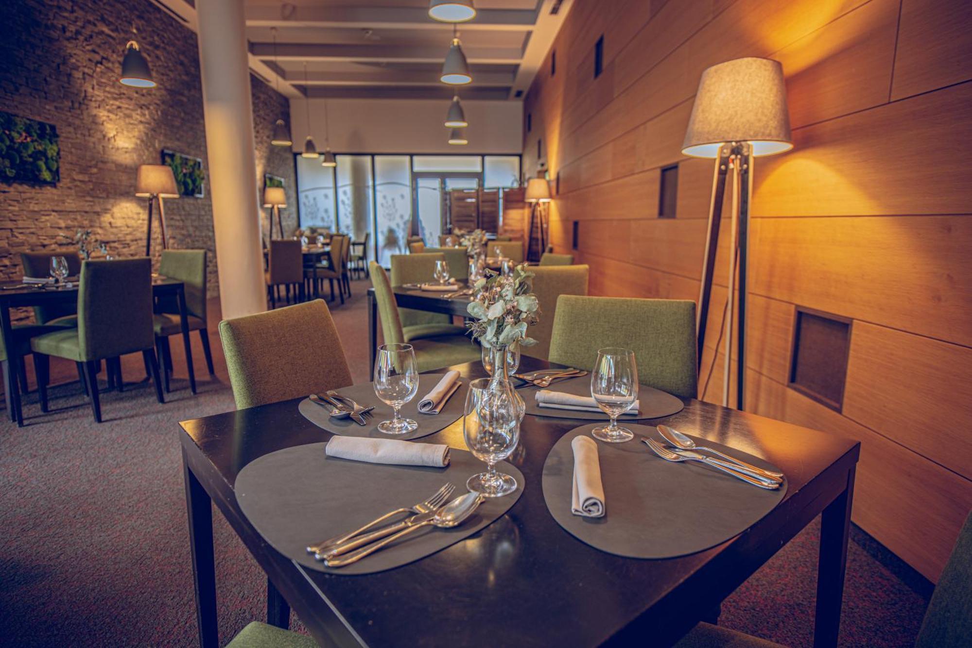 Wellness Vista 4*