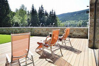 Wellness Vista